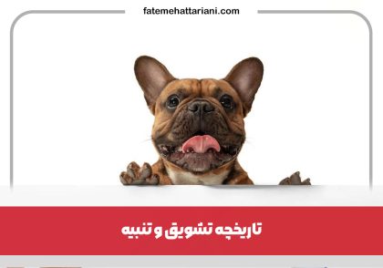 تاریخچه تشویق و تنبیه